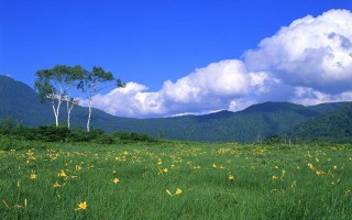 不收費(fèi)的挽回感情大師軟件 有免費(fèi)挽回情感專(zhuān)家嗎?