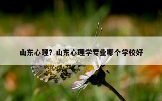 山東心理？山東心理學(xué)專業(yè)哪個(gè)學(xué)校好