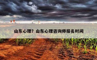 山東心理？山東心理咨詢師報(bào)名時(shí)間