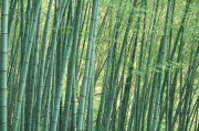 社區(qū)人員承載的壓力大 社區(qū)工作者壓力大?