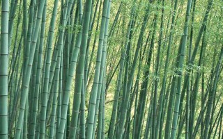 社區(qū)人員承載的壓力大 社區(qū)工作者壓力大?
