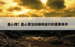 是心理？是心理活動順利進(jìn)行的重要條件