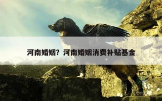 河南婚姻？河南婚姻消費(fèi)補(bǔ)貼基金