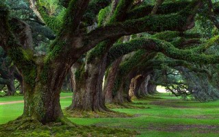 男朋友為何想認(rèn)識我朋友 男朋友總想認(rèn)識我的朋友?