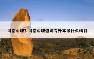 河南心理？河南心理咨詢專升本考什么科目