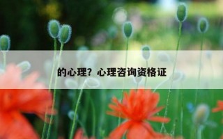 的心理？心理咨詢資格證