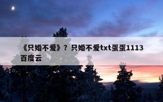 《只婚不愛》？只婚不愛txt蛋蛋1113百度云
