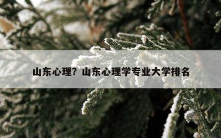 山東心理？山東心理學(xué)專業(yè)大學(xué)排名
