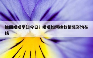 挽回婚姻早知今日？婚姻如何挽救情感咨詢?cè)诰€