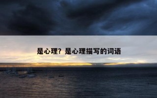 是心理？是心理描寫的詞語