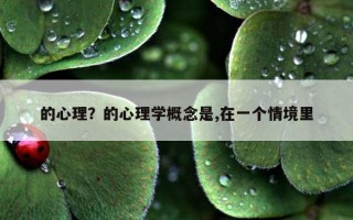 的心理？的心理學(xué)概念是,在一個情境里